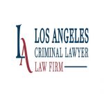 Los Angeles Criminal Lawyer.jpg