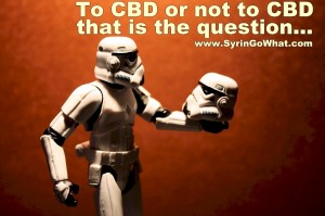 Syringomyelia, To CBD or Not To CBD