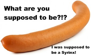 Syringomyelia, Syrinx or Hot Dog - SyrinGoWhat.com