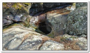 Syringomyelia, Glory Hole Falls, Arkansas - SyringoWhat.com